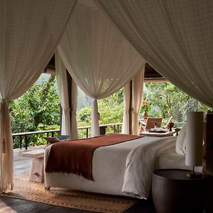 Kamar king kolam renang